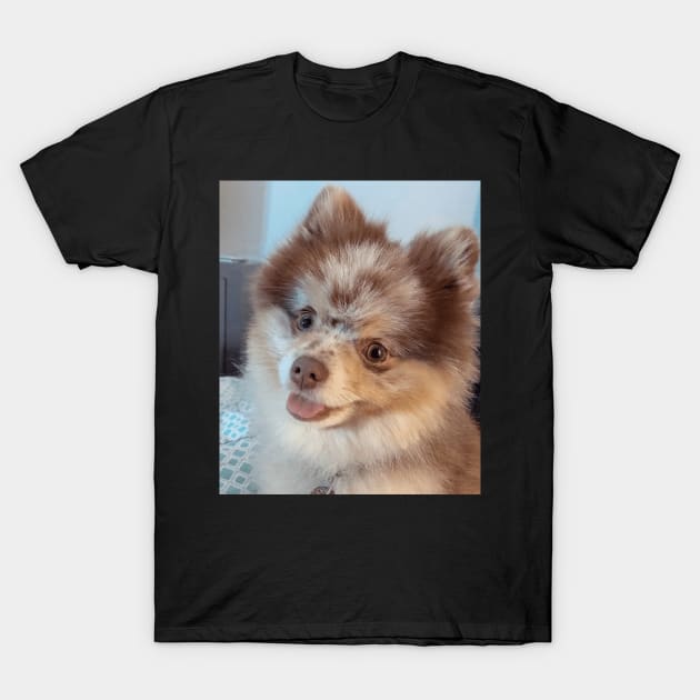 Leaelui with her dog t-shirt gift for your friend T-Shirt by Pop-clothes